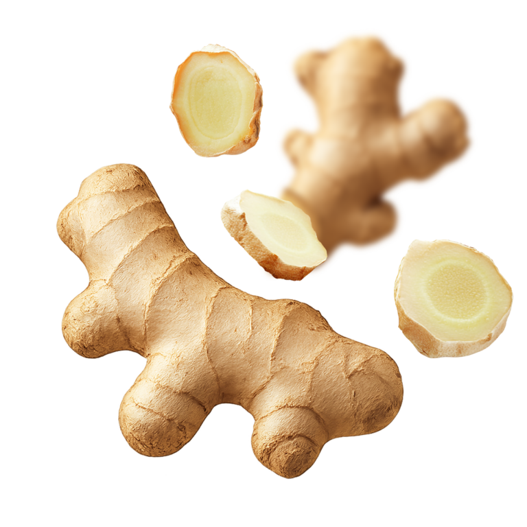 Ingefærjuice-Rosengaard