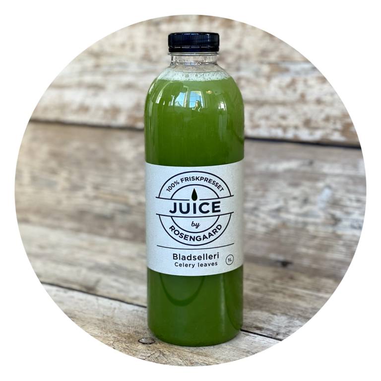 bladselleri-celery leaves