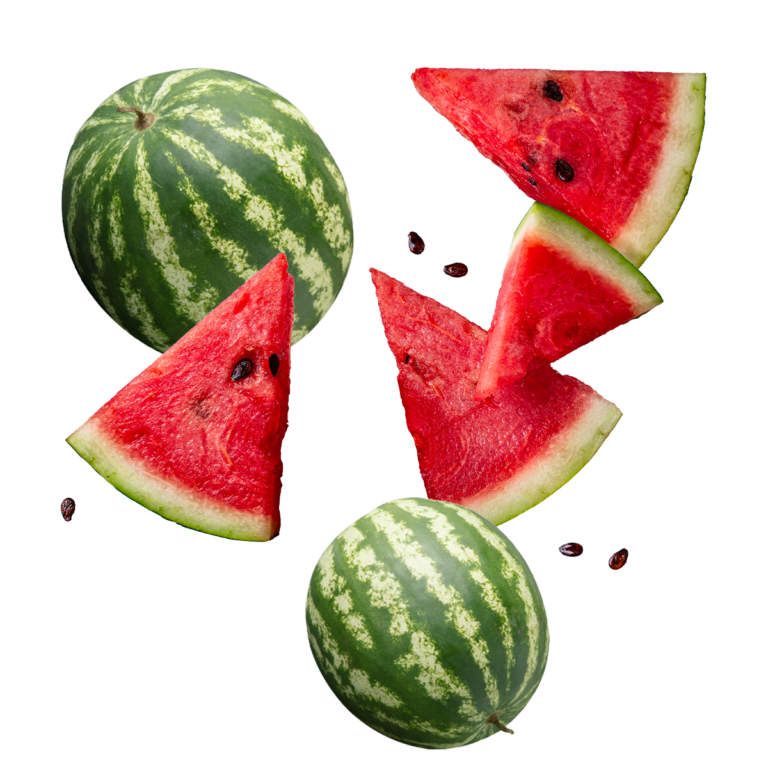 vandmelon-Rosengaard